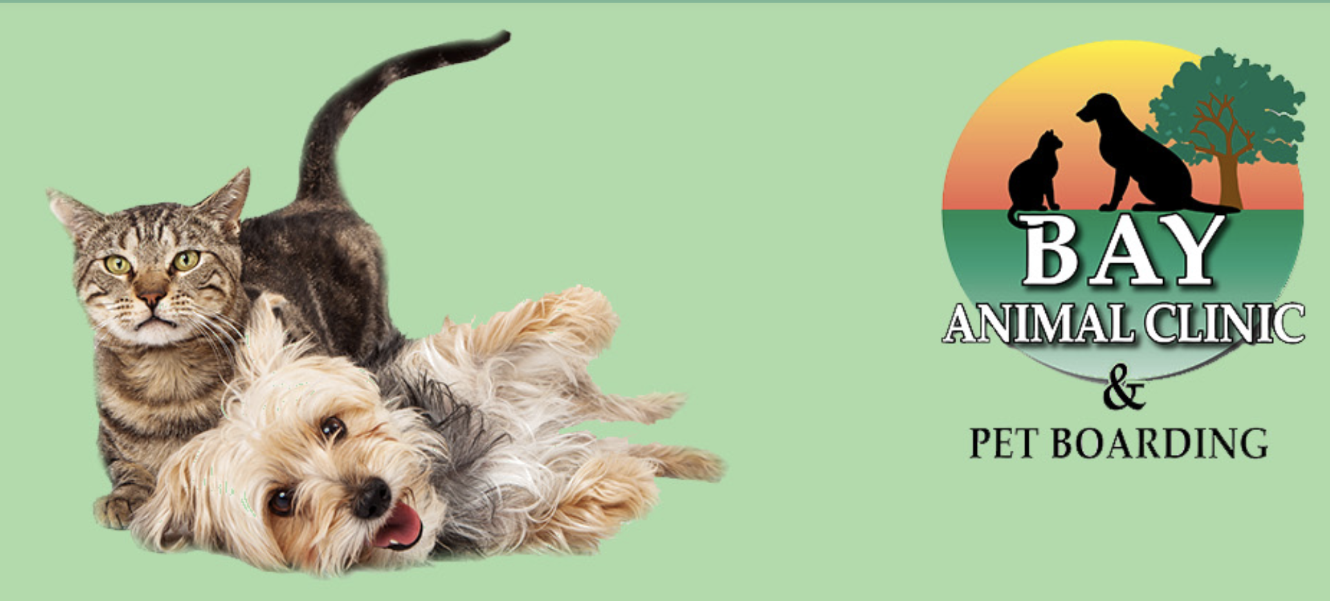 Bay Animal Clinic